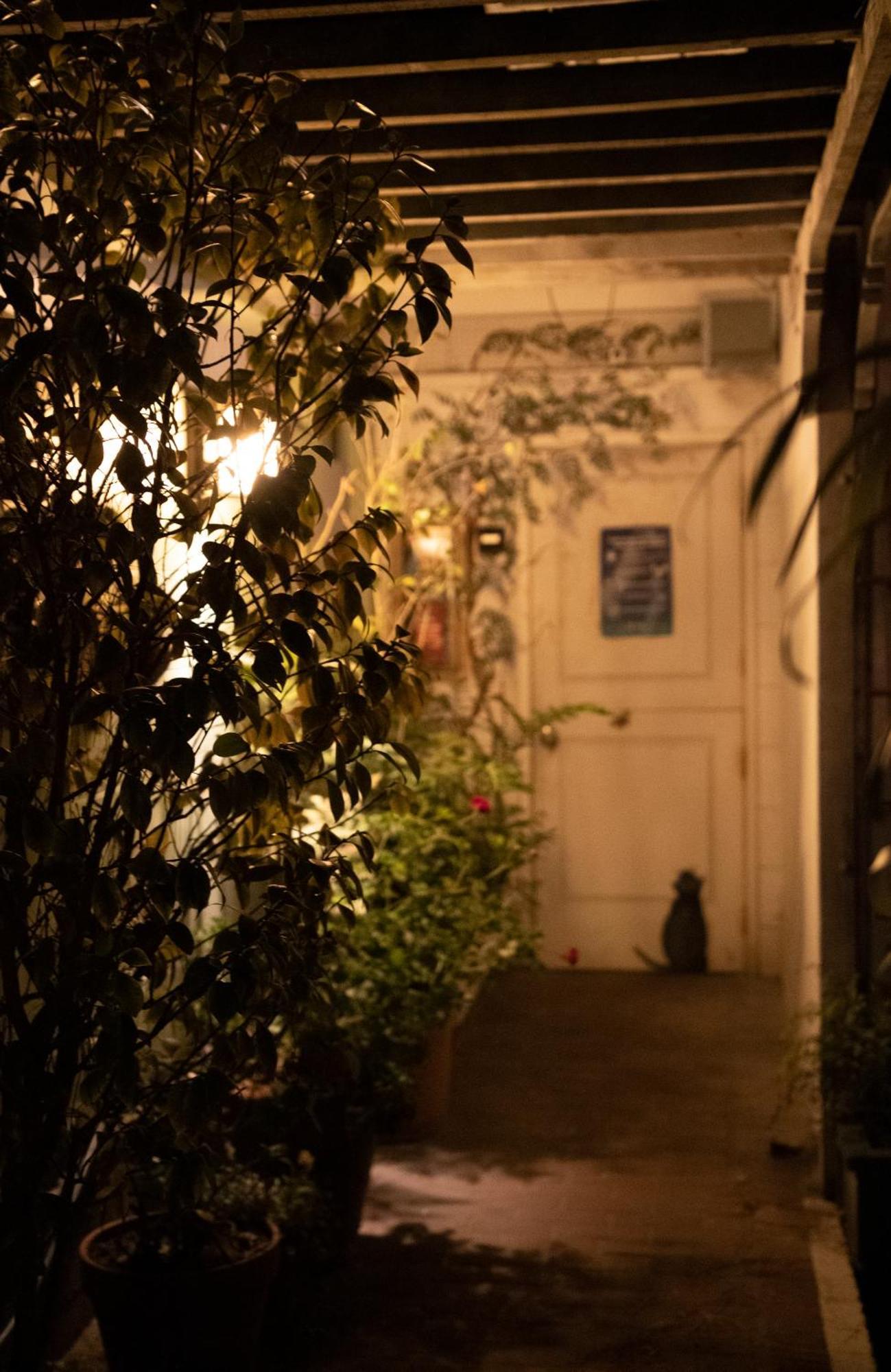 Carmel Garden Inn المظهر الخارجي الصورة