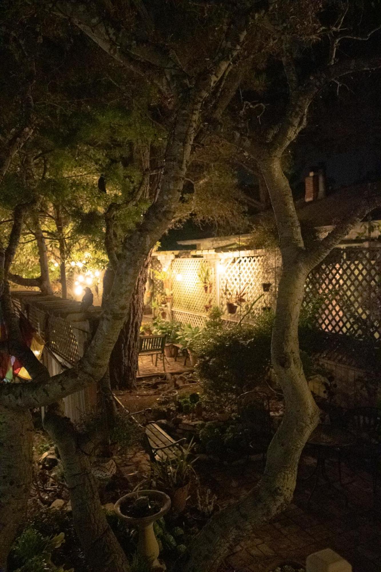 Carmel Garden Inn المظهر الخارجي الصورة