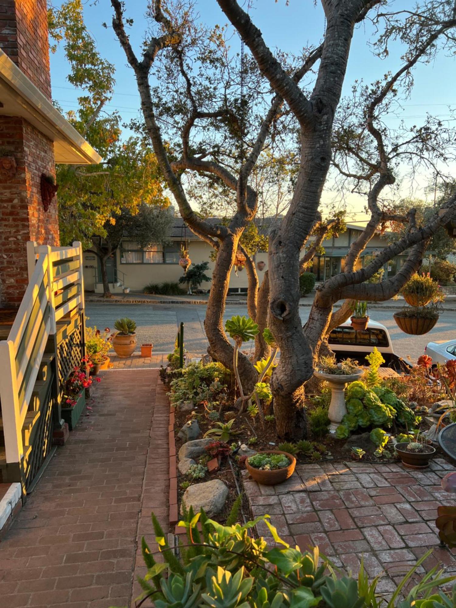 Carmel Garden Inn المظهر الخارجي الصورة