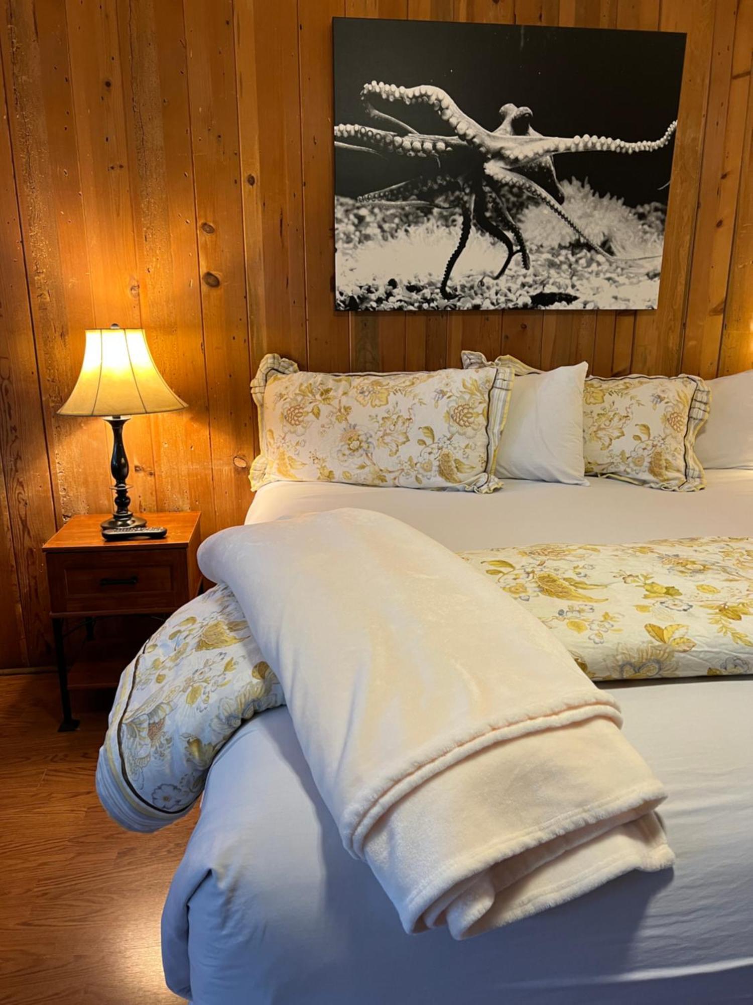 Carmel Garden Inn المظهر الخارجي الصورة