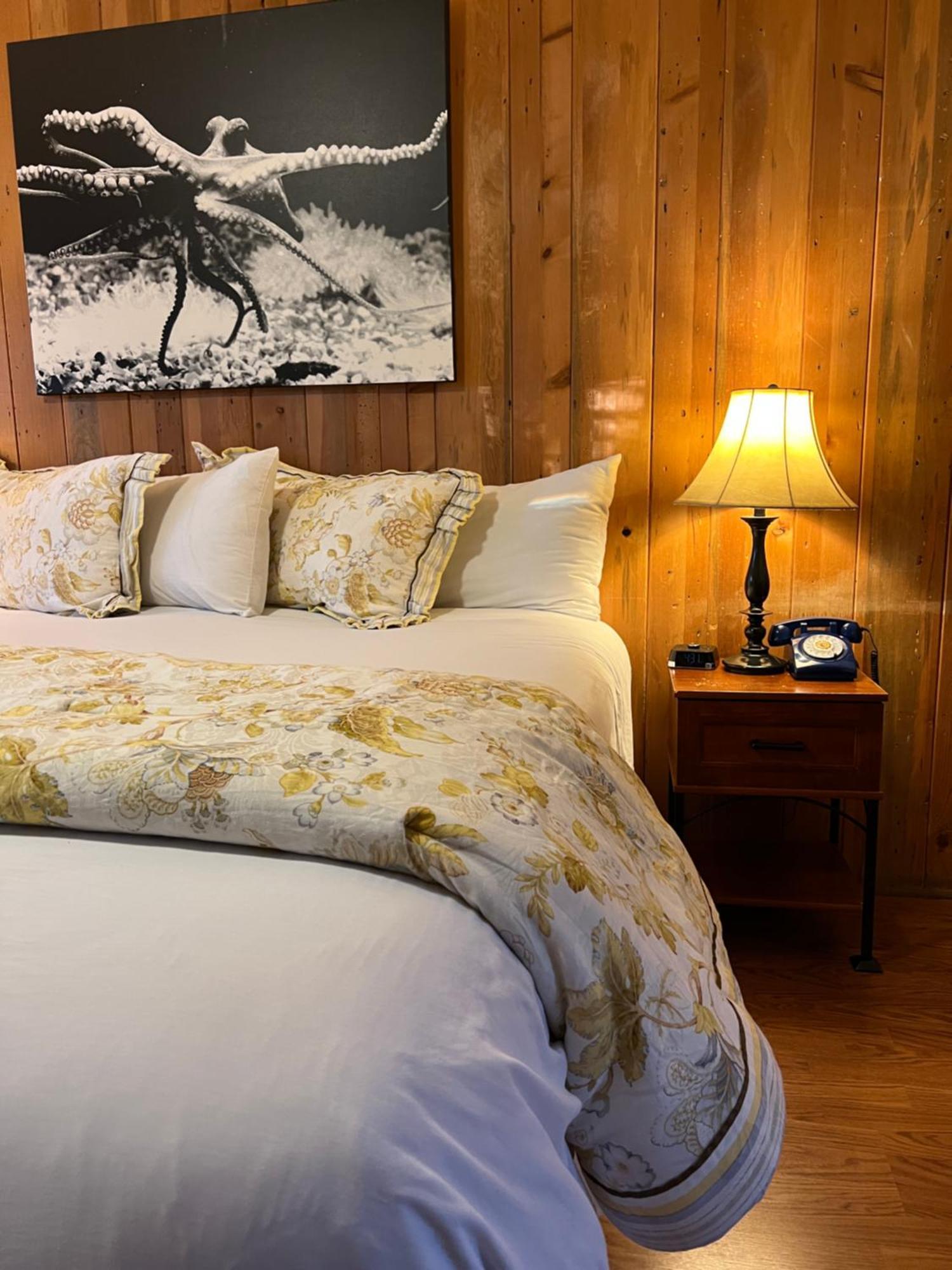 Carmel Garden Inn المظهر الخارجي الصورة